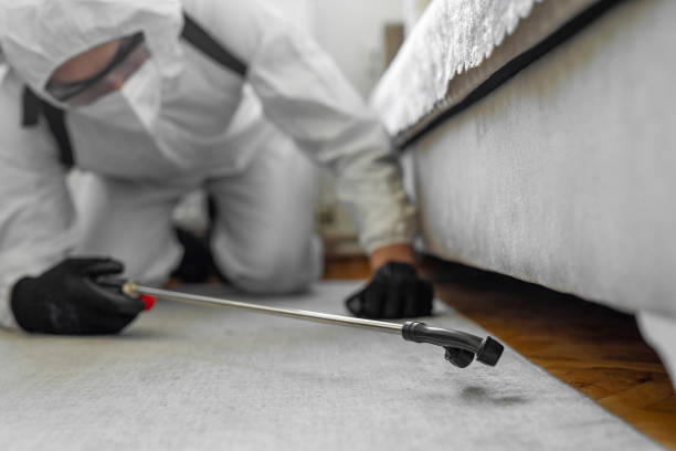 Professional Bed Bug Control technician working in Reinholds, PA