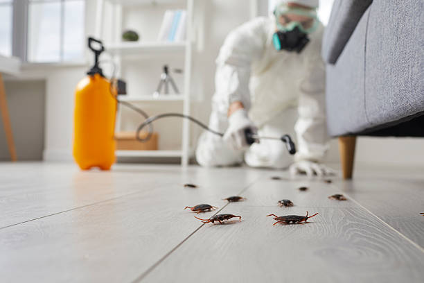 Trusted Termite Control service in Reinholds, PA - Nex Pest Control