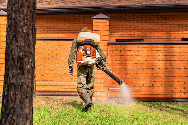 Trusted Bed Bug Control service in Reinholds, PA - Nex Pest Control
